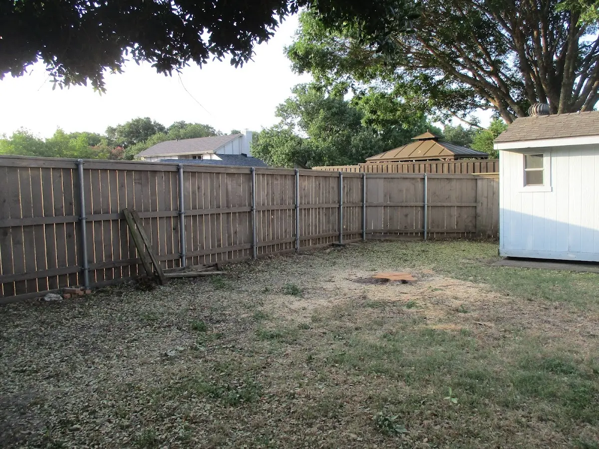 Cleared yard after professional tree removal in Adams Center